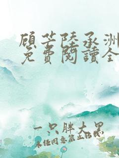 顾芒陆承洲小说免费阅读全集