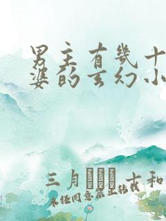 男主有几十个老婆的玄幻小说