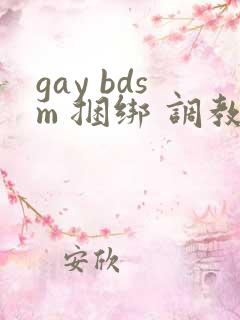 gay bdsm 捆绑 调教 男奴