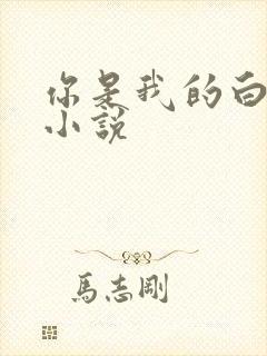你是我的白月光小说