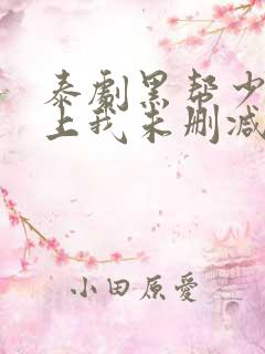 泰剧黑帮少爷爱上我未删减