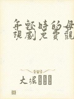 年轻时的母亲电视剧免费观看韩剧6