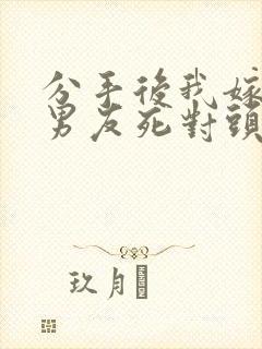 分手后我嫁给前男友死对头