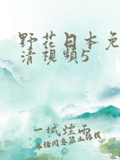 野花日本免费高清视频5