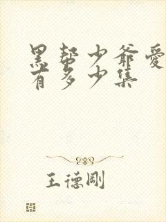 黑帮少爷爱上我有多少集