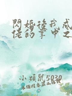 闪婚后我成了大佬的掌中之物短剧完整版