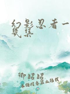 幻影忍者一共有几集