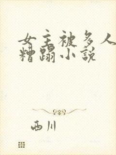 女主被多人强行糟蹋小说