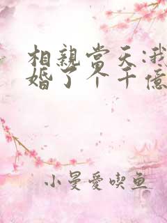 相亲当天:我闪婚了个千亿富翁有声小说