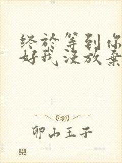 终于等到你,还好我没放弃是什么歌