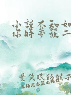 小说不知如何爱你时梦筱二
