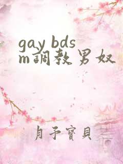 gay bdsm调教男奴