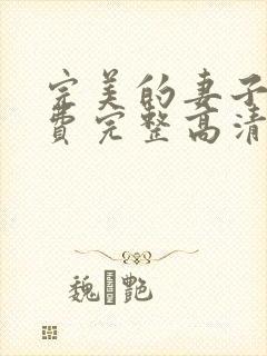 完美的妻子4免费完整高清电视剧在线看