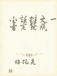 小说推文一口气看完发疯