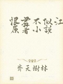 恨君不似江楼月原著小说