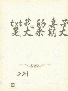 txt我的妻子是大乘期大佬下载