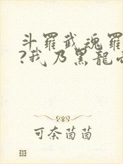 斗罗武魂罗三炮?我乃黑龙帝君