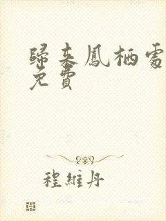 归来凤栖处短剧免费