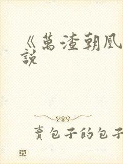 《万渣朝凰》小说