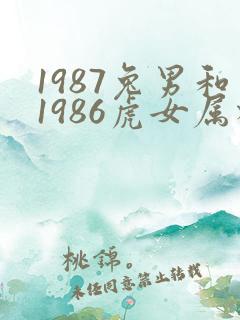 1987兔男和1986虎女属相合吗