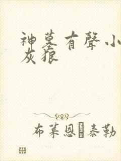 神墓有声小说大灰狼