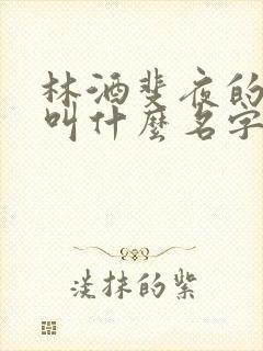 林酒斐夜的小说叫什么名字