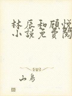 林辰和顾悦兮的小说免费阅读全文 千千