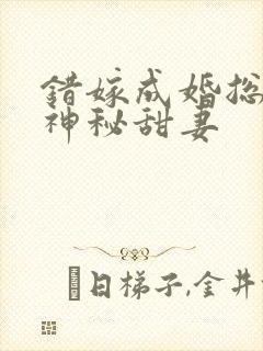 错嫁成婚总裁的神秘甜妻