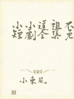 小小道祖不好惹短剧全集免费播放