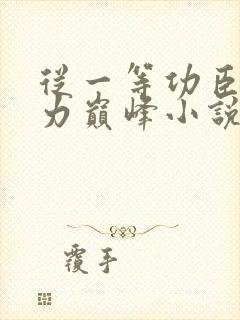 从一等功臣到权力巅峰小说免费阅读