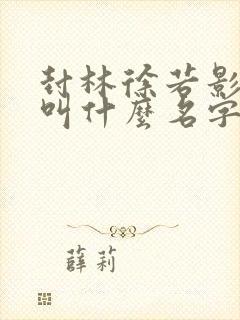 封林徐若影小说叫什么名字