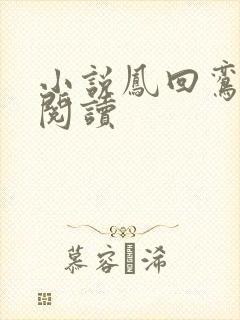 小说凤回鸾在线阅读