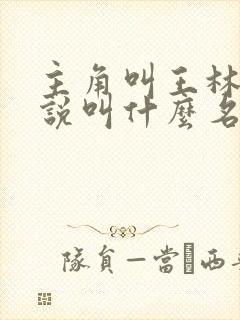 主角叫王林的小说叫什么名字