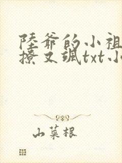 陆爷的小祖宗又撩又飒txt小说下载