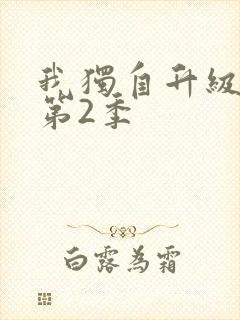 我独自升级动漫第2季