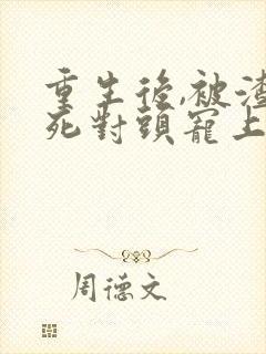 重生后,被渣男死对头宠上天短剧