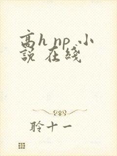 高h np 小说 在线