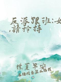 反派跟班:女主,请矜持