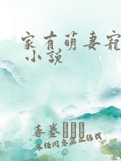 家有萌妻宠上天 小说