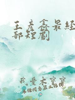 王彦鑫最经典十部短剧