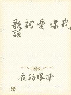 歌词爱你我不能说