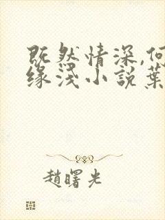 既然情深,何惧缘浅小说叶落无心