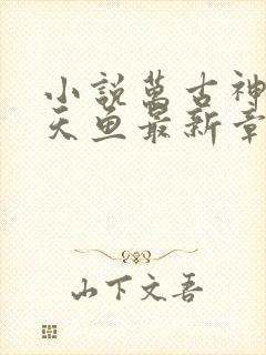 小说万古神帝飞天鱼最新章节列表最