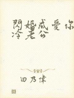 闪婚成爱你好高冷老公