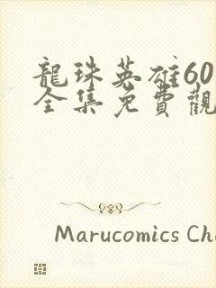 龙珠英雄60集全集免费观看