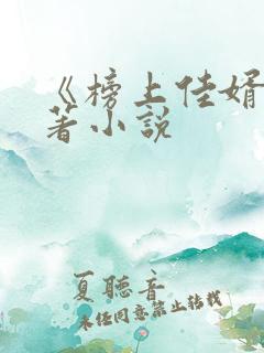 《榜上佳婿》原著小说