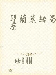 翟兰叶结局是什么