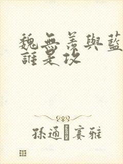 魏无羡与蓝忘机谁是攻