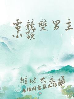 电竞双男主推文小说