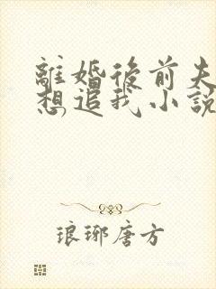 离婚后前夫总是想追我小说免费阅读